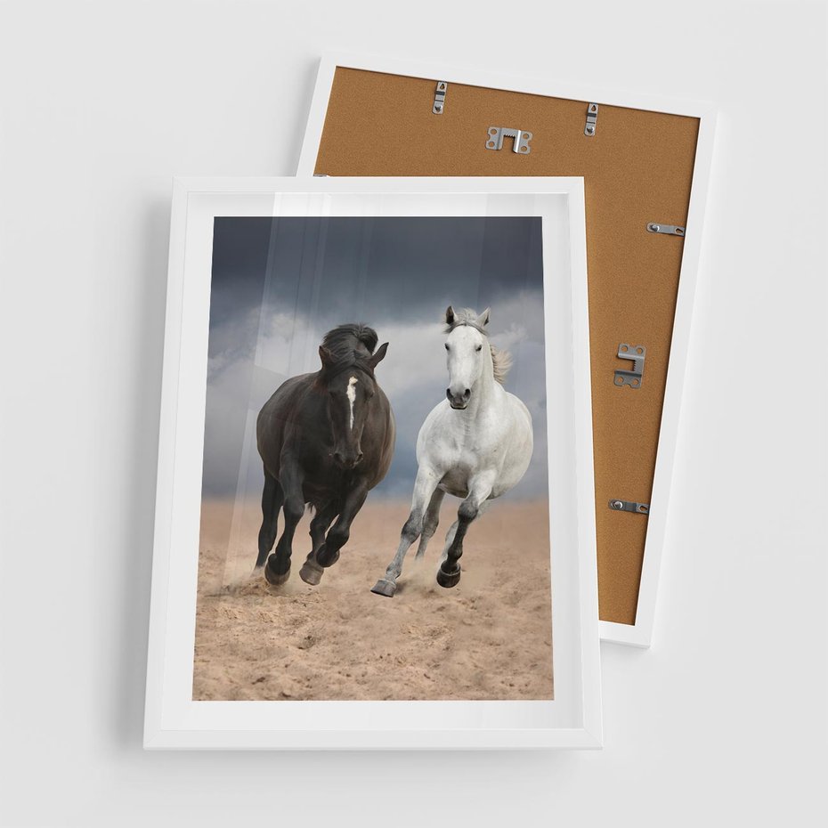 Plakat w ramie 50x70 - Siła koni w galopie - konie, galop - rama biała