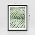 Plakat w ramie 30x40 - Liście Palmy: Egzotyczna Grafika - palma, liście palmy - rama czarna
