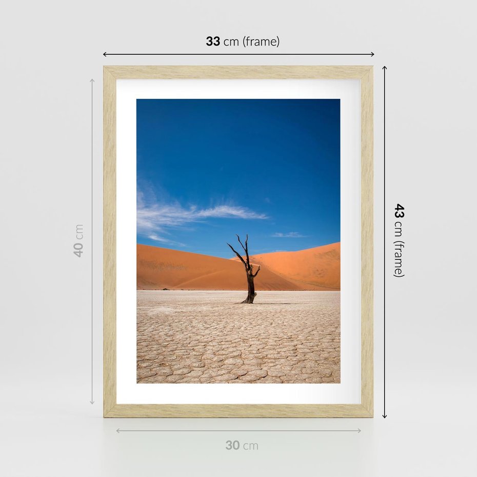 Plakat w ramie 30x40 - Słońce i Suche Drzewo - pustynia, suche - rama drewno
