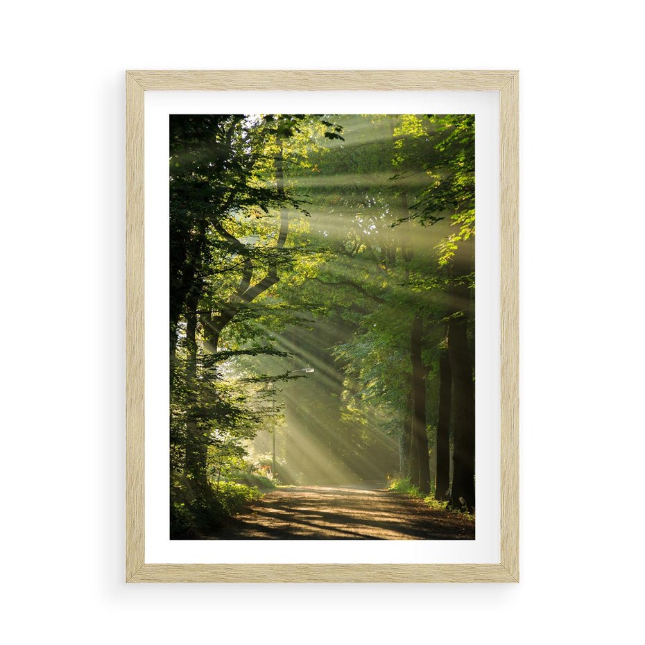 Plakat w ramie 50x70 - harmonia natury - las, drzewa - rama drewno