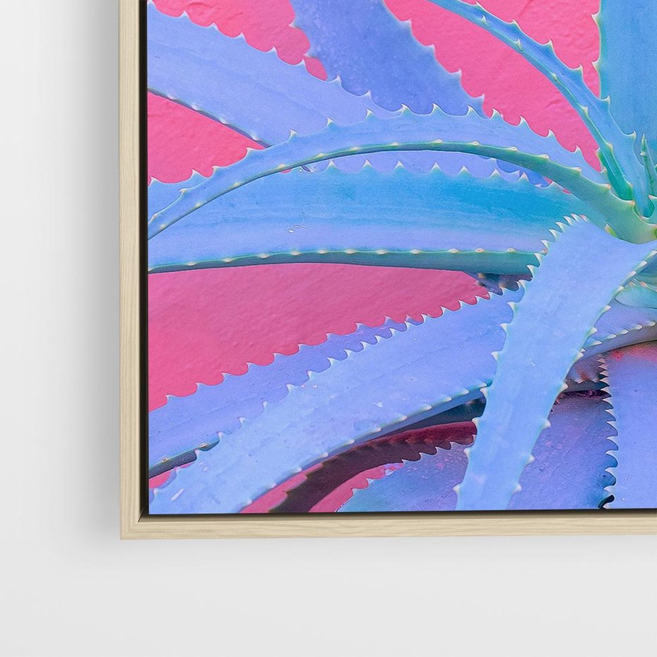 Obraz w ramie 80x80 - Piękno Pustyni - kaktusy, liście - rama drewno