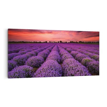 Obraz na płótnie 120x60 - Lawenda: polne zauroczenie - lawenda, kwiaty