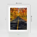 Plakat w ramie 40x50 - Droga przez jesienny las - droga, las - rama biała
