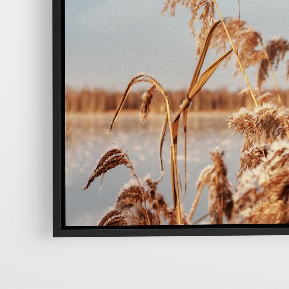 Obraz w ramie 50x50 - Wyraz Stylu - trawy, boho - rama czarna