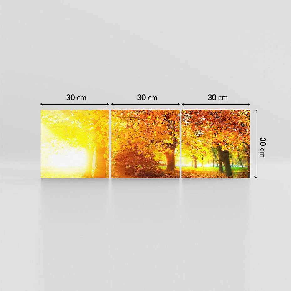 Obraz na płótnie 90x30 - Magia jesiennego lasu - las, drzewa