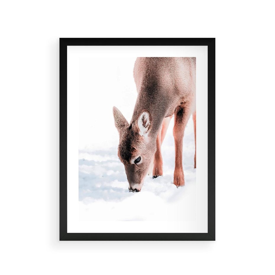 Plakat w ramie 30x40 - Sarna w Zimowym Raju - sarna, na śniegu - rama czarna