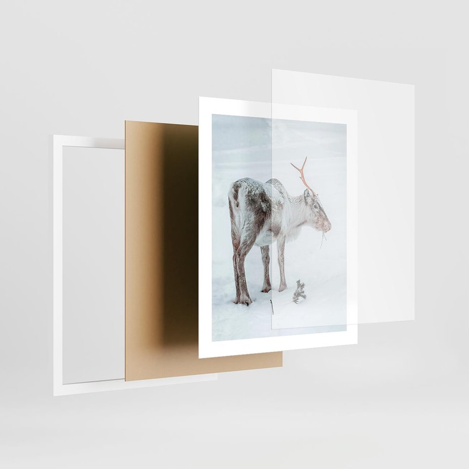 Plakat w ramie 40x50 - Magia Świąt - renifer na śniegu, śnieg - rama biała