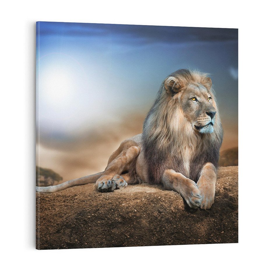 Obraz na płótnie 70x70 - Król sawanny - lew, kamień