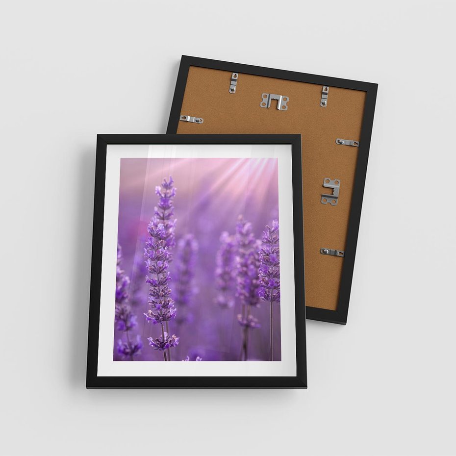 Plakat w ramie 40x50 - Fioletowa harmonia lawendy - lawenda, fiolet - rama czarna