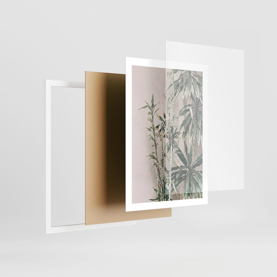 Plakat w ramie 50x70 - Egzotyczna Kompozycja - liście, rośliny tropikalne na tle ściany - rama biała