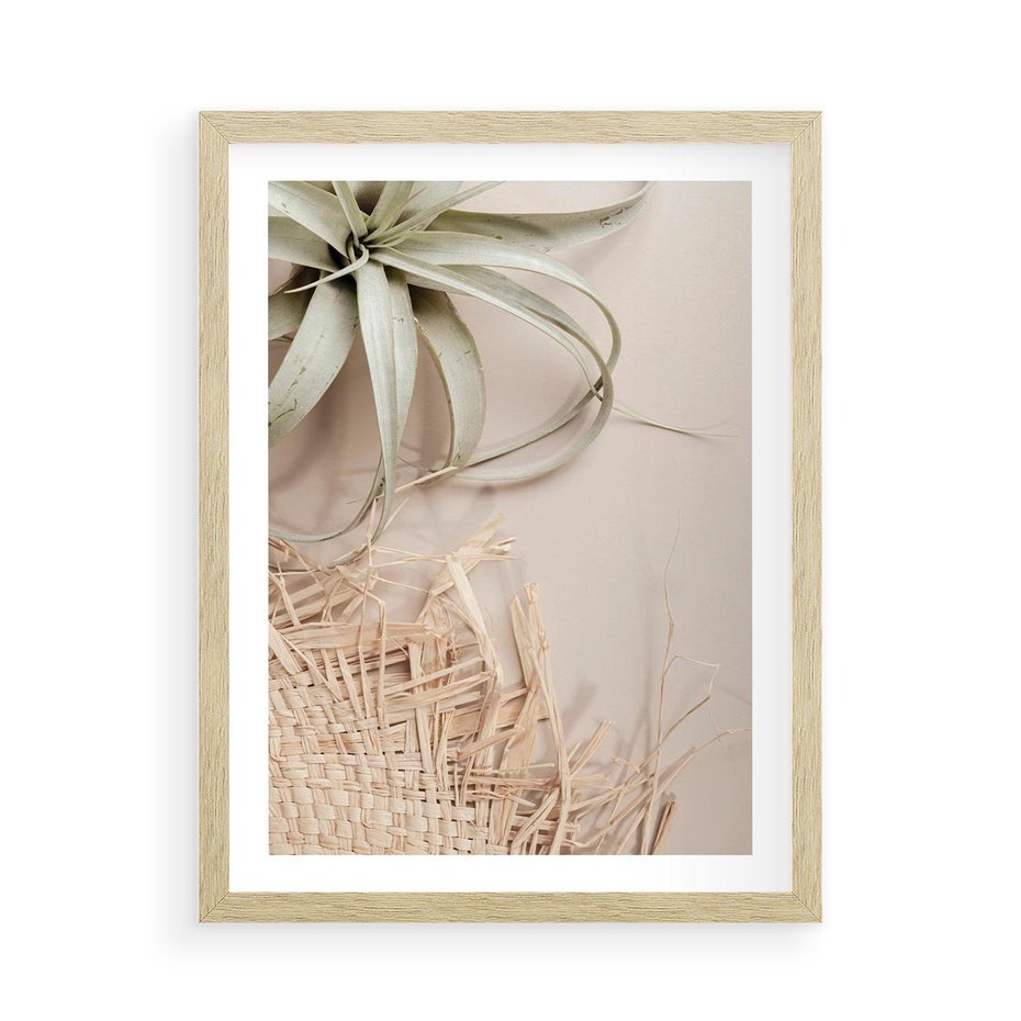 Plakat w ramie 50x70 - Aloes w Stylu Boho - kompozycja, wiklina - rama drewno