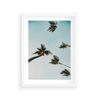 Plakat w ramie 50x70 - Palmy i Niebo - palmy, ujęcie z dołu - rama biała