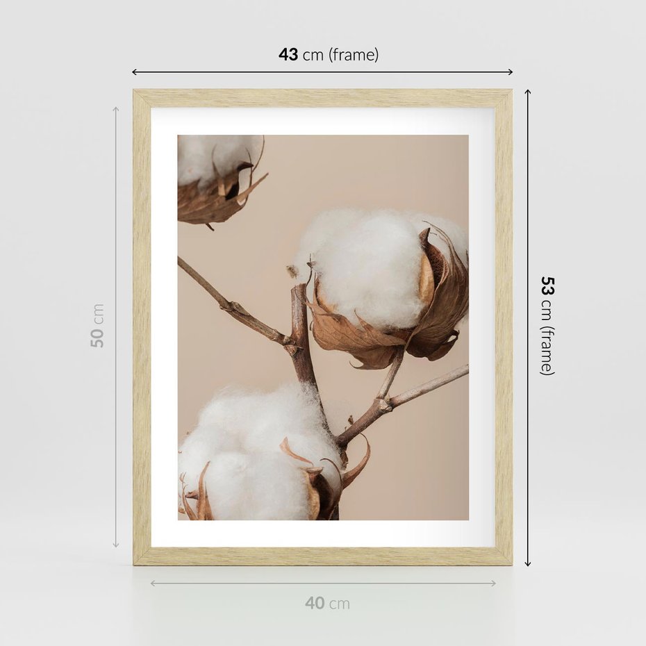 Plakat w ramie 40x50 - Bawełniana melancholia - bawełna, suche - rama drewno