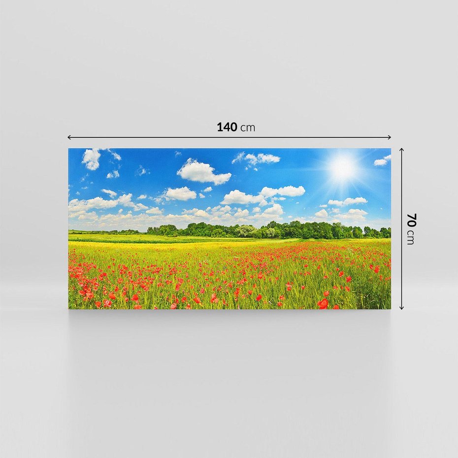 Obraz na płótnie 140x70 - Malownicze maki na łące - maki, łąka