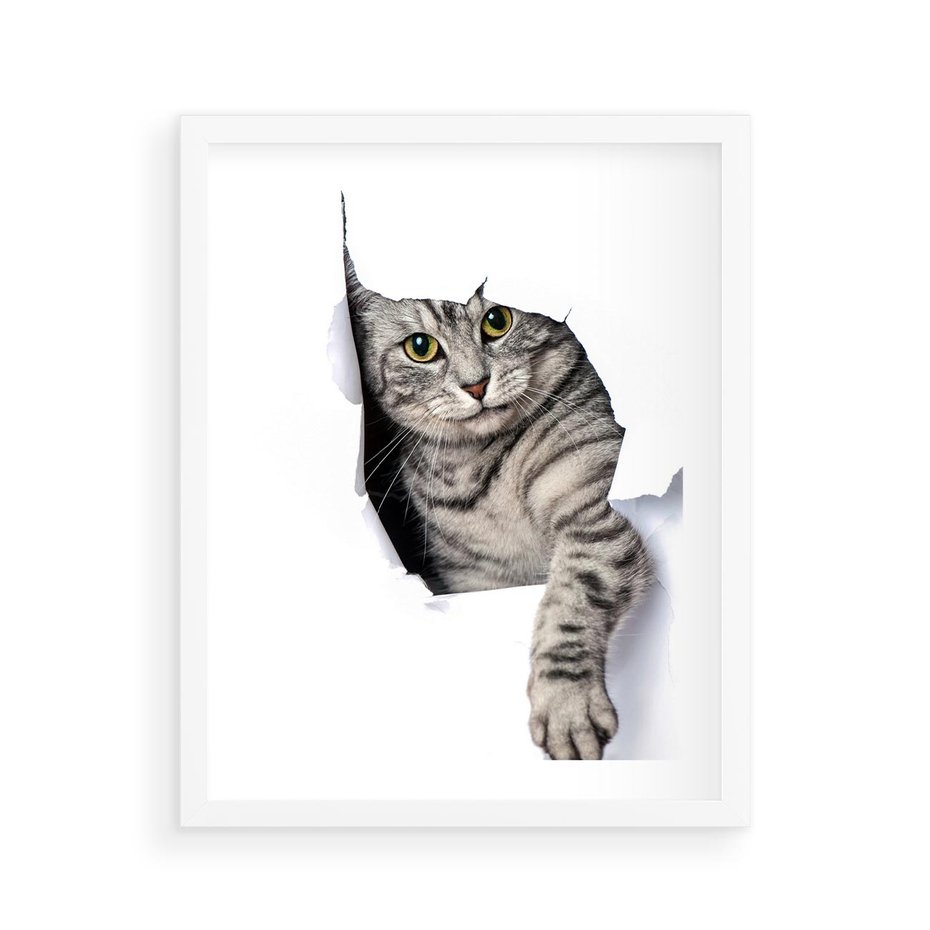 Plakat w ramie 40x50 - Tajemniczy kot i jego świat - kot, dziura - rama biała