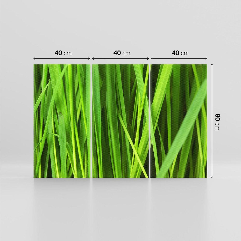 Obraz na płótnie 120x80 - Trawa w abstrakcji: natura przekształcona - trawa, abstrakcja