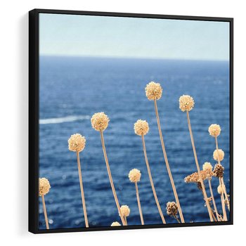 Obraz w ramie 50x50 - Kontrasty Natury - fotografia, pierwszy plan sucha roślinność - rama czarna