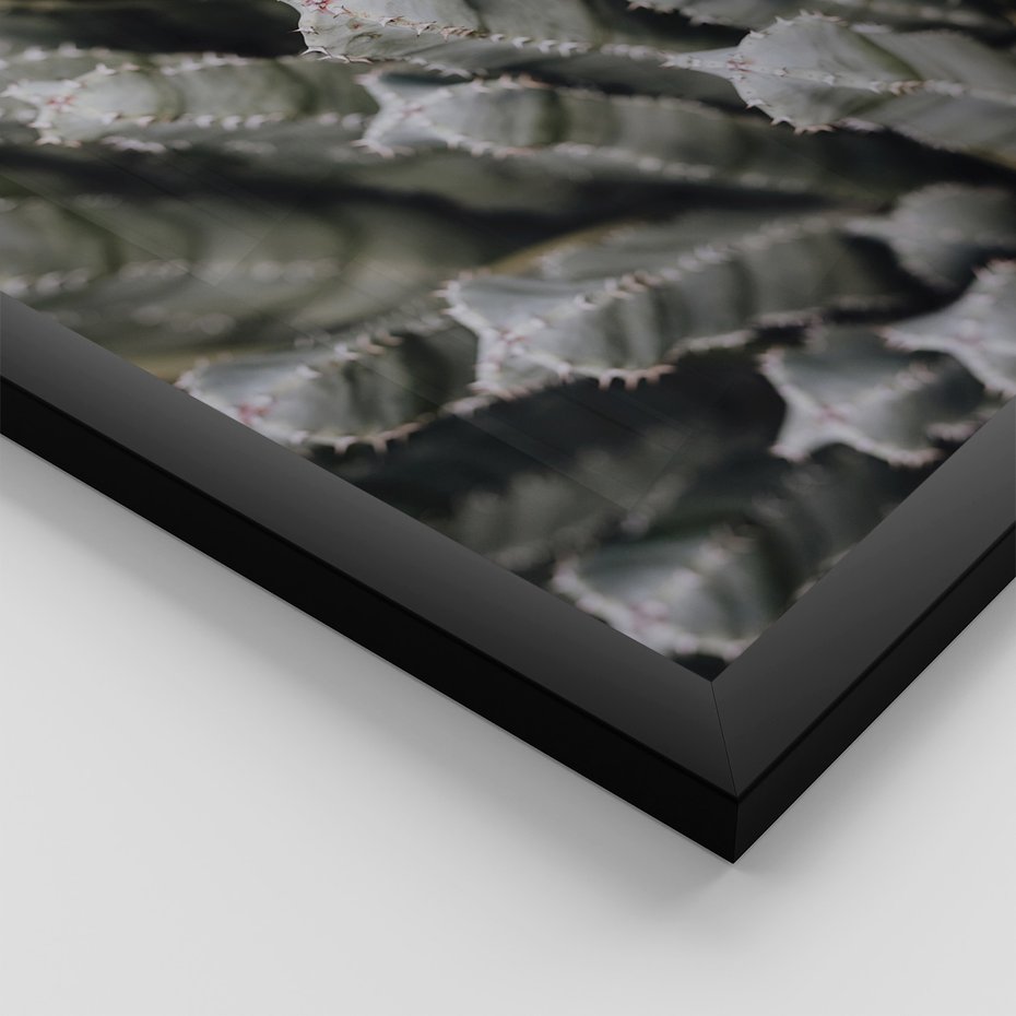 Zestaw obrazy w ramie 40x50 galeria - Kaktusy, pustynia, boho - rama czarna