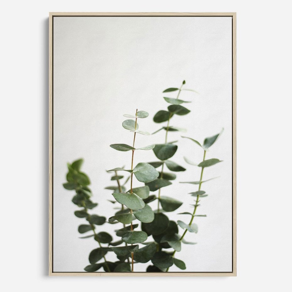 Obraz w ramie 80x120 - Żywa eukaliptusowa zieleń - eukaliptus, zielone - rama drewno