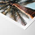 Plakat bez ramy 21x30 - Rajskie Inspiracje: Palma na Niebie - palma, na tle nieba