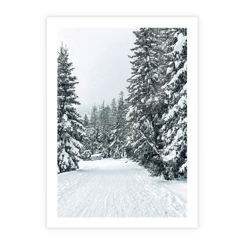 Plakat bez ramy 50x70 - Magia Zimy na Obrazie - las, zima