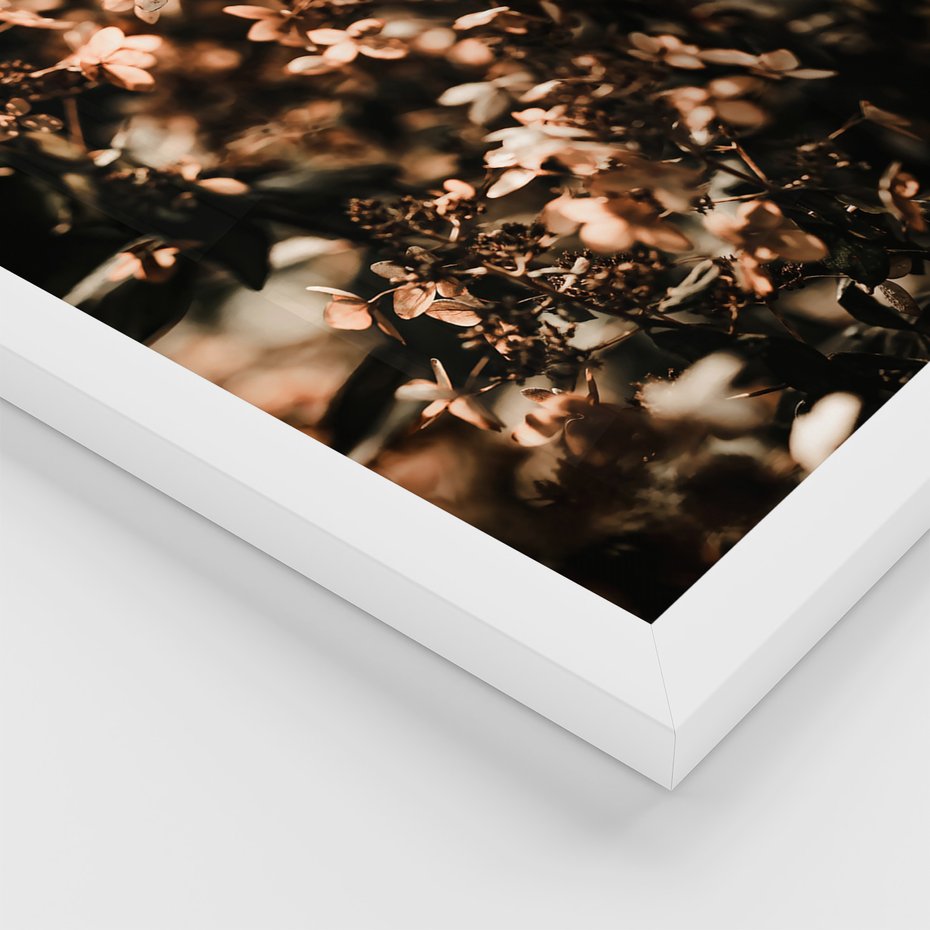 Zestaw obrazy w ramie 30x40 galeria - Hortensja, kwiaty, suche, cytat - rama biała