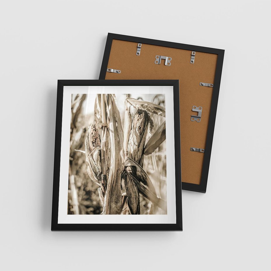 Plakat w ramie 40x50 - Retro Pole Kukurydzy - retro zdjęcie, sepia - rama czarna