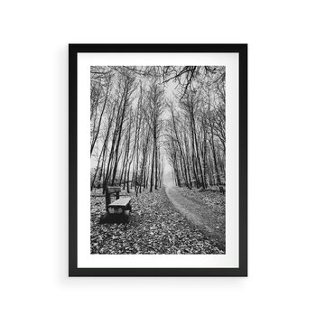 Plakat w ramie 50x70 - Spadające Liście - czarno białe zdjecie, park - rama czarna