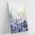 Obraz na płótnie 70x100 - Delikatna Uroda Natury - wrzosy, fiolet