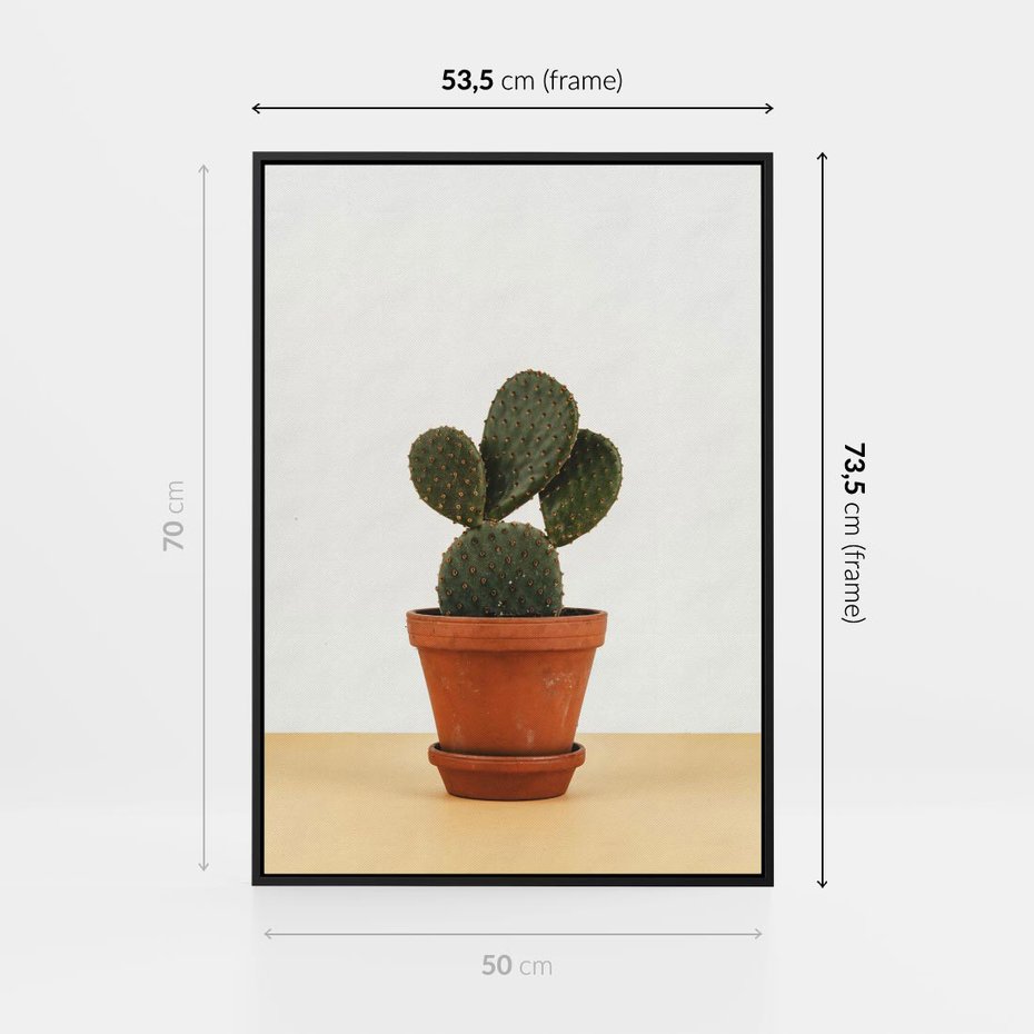 Obraz w ramie 50x70 - Kwiatowy taniec kaktusa - kaktus, kwiat - rama czarna