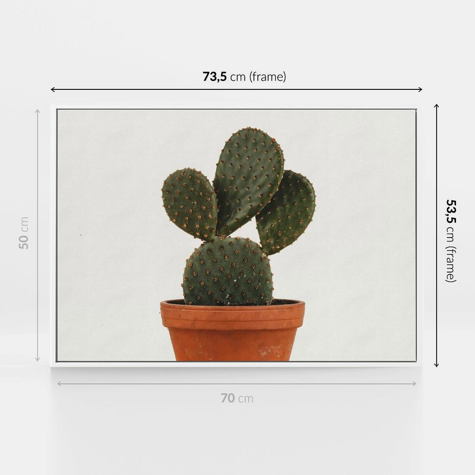 Obraz w ramie 70x50 - Kwiatowy taniec kaktusa - kaktus, kwiat - rama biała