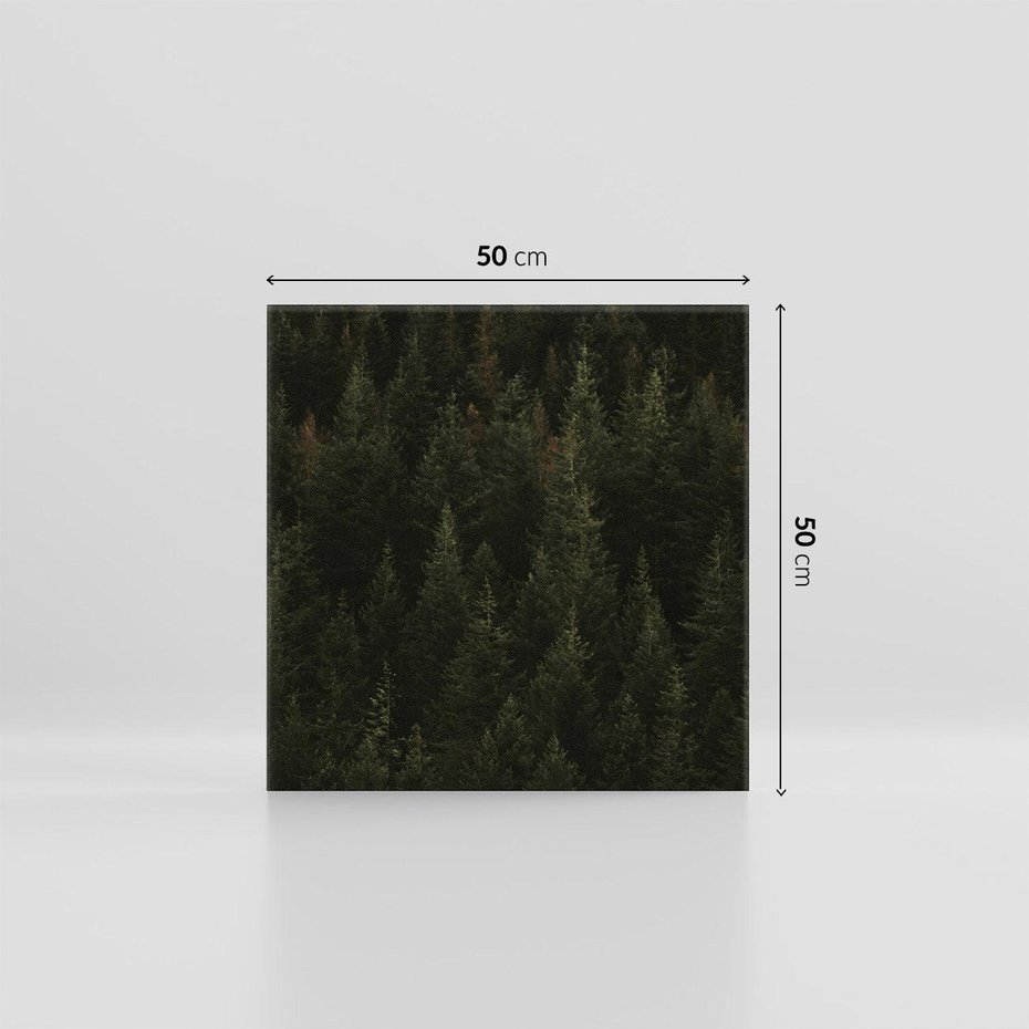 Obraz na płótnie 50x50 - Ciemny las iglasty - las, iglasty