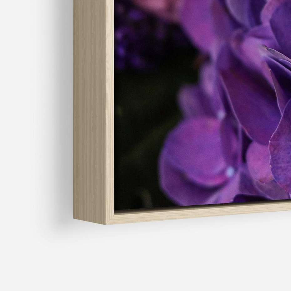 Obraz w ramie 120x80 - Fioletowa hortensja - kwiaty, hortensja - rama drewno