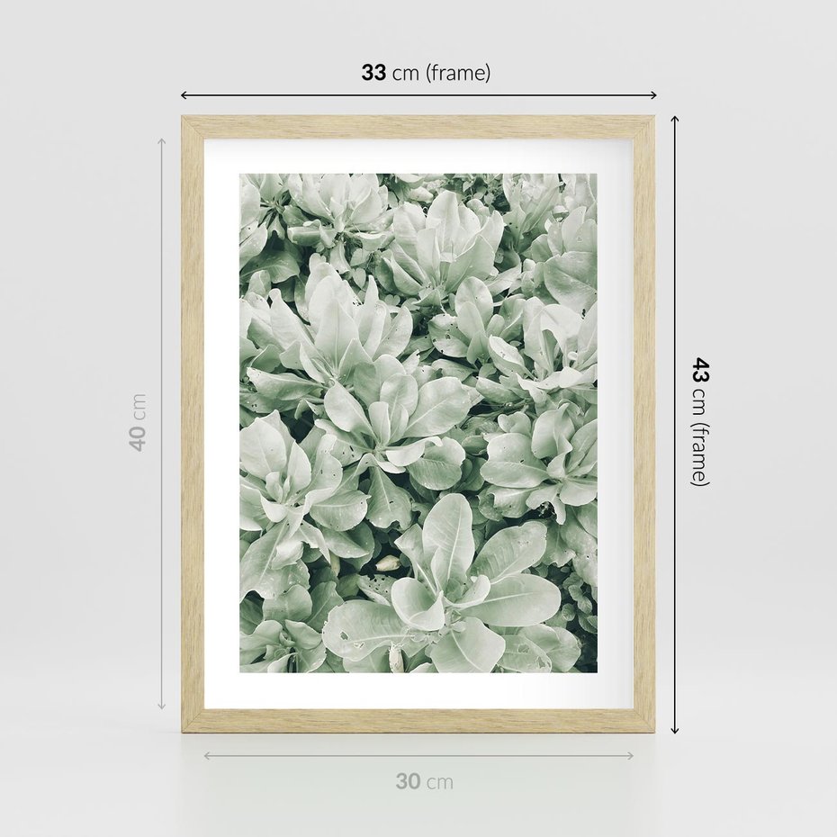 Plakat w ramie 30x40 - Liście w Jasnych Odcieniach Zielonego - liście, jasna zieleń fotografia - rama drewno