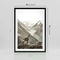 Plakat w ramie 50x70 - Dzikie Piękno: Kozica w Malowniczym Górskim Scenerii - kozica, góry - rama czarna