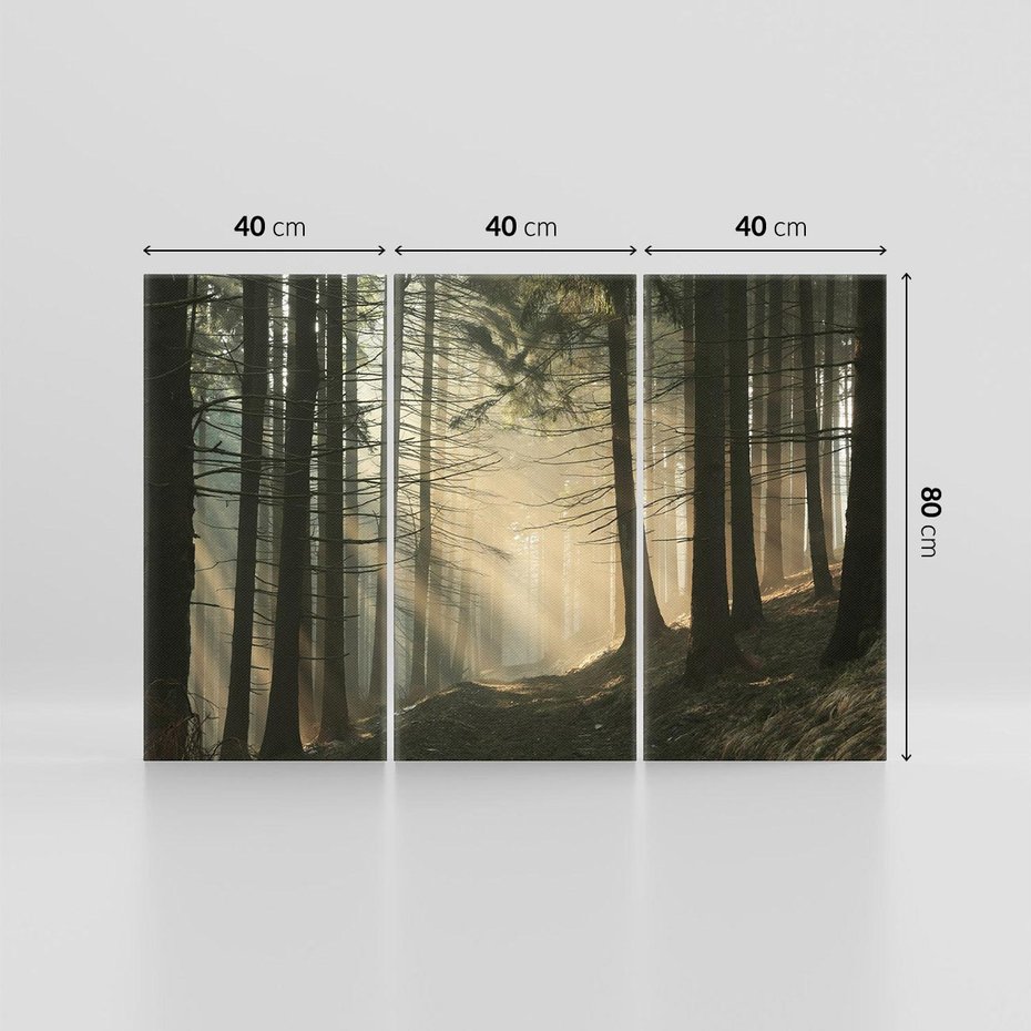 Obraz na płótnie 120x80 - Urok lasu: drzewa w pełnej okazałości - las, drzewa