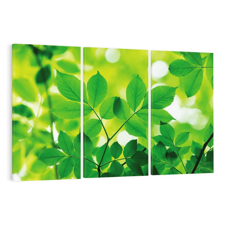 Obraz na płótnie 120x80 - Magia liści - liście, drzewo