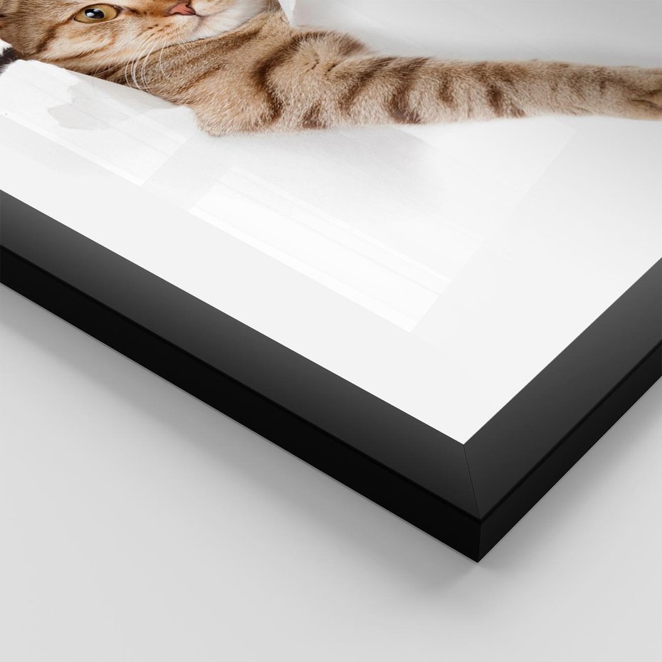 Plakat w ramie 30x40 - Kot w Dziurze - kot, dziura - rama czarna