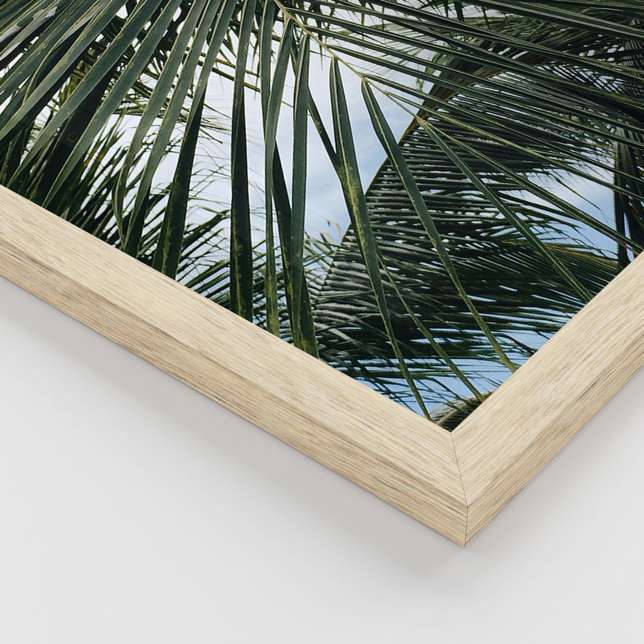 Zestaw obrazy w ramie 40x50 galeria - Palmy, pozytywe, myślenie - rama drewno