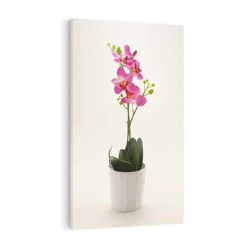 Obraz na płótnie 80x120 - Delikatność storczyka orchidei - storczyk, orchidea