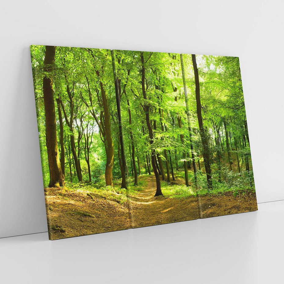 Obraz na płótnie 120x80 - Mistyka leśnych drzew - las, drzewa