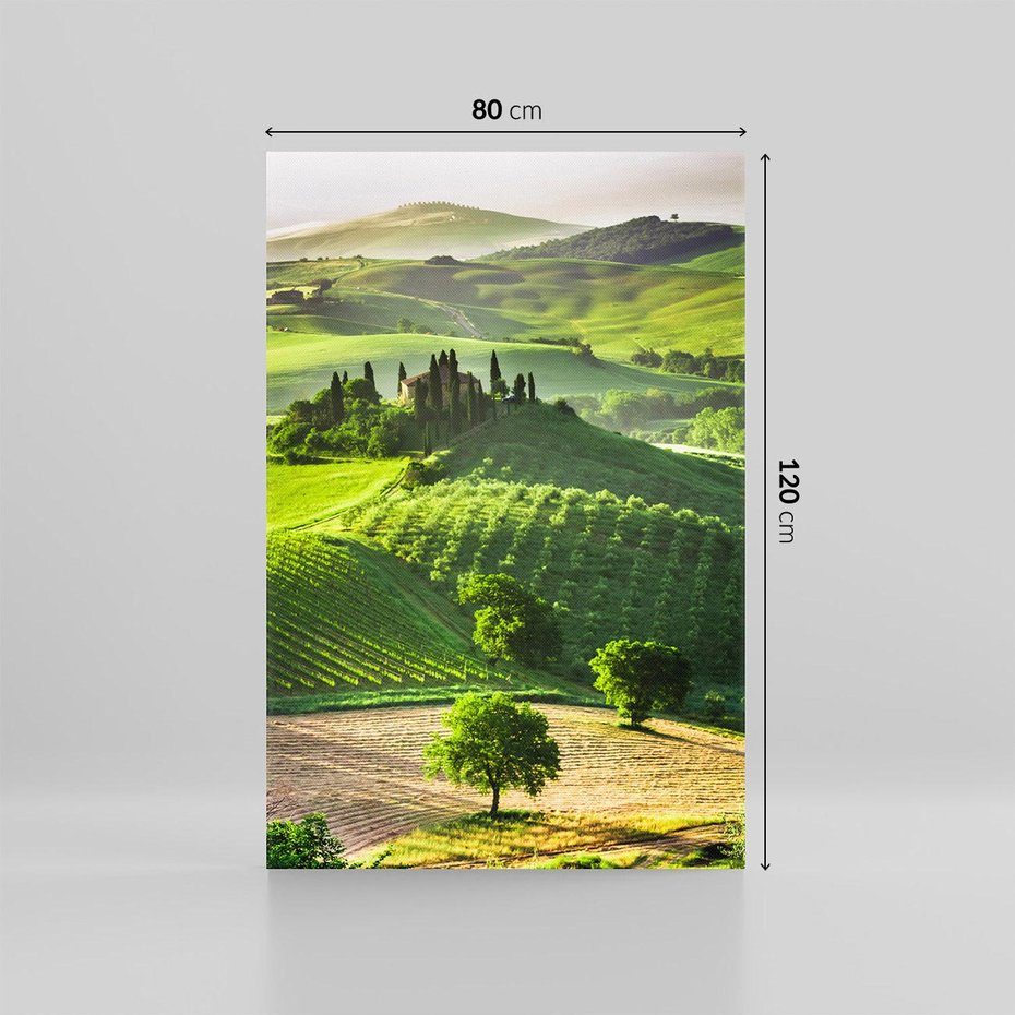 Obraz na płótnie 80x120 - Prowansja: malownicze winnice w kraju Włoch - Prowansja, Włochy