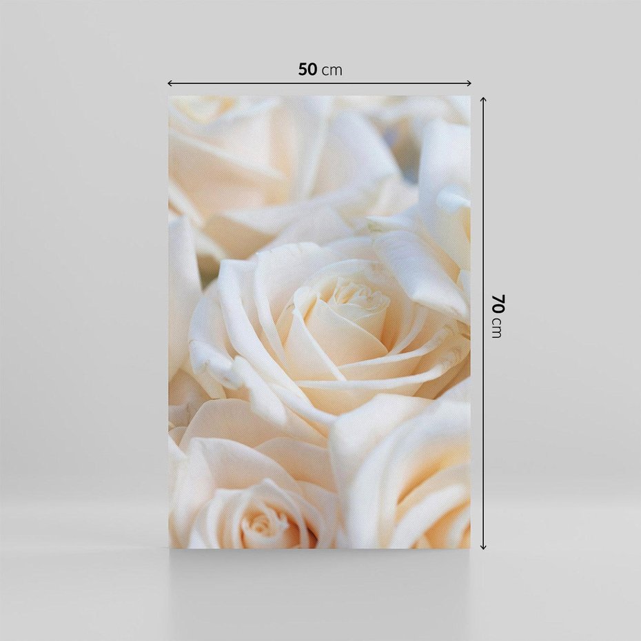 Obraz na płótnie 50x70 - Białe róże piękności - białe, róże