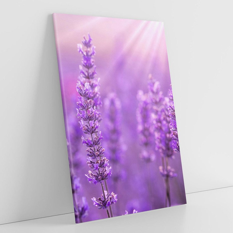 Obraz na płótnie 80x120 - Fioletowa harmonia lawendy - lawenda, fiolet