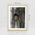 Plakat w ramie 30x40 - Tajemniczy W świecie Nocy - sowa, dziupla - rama drewno