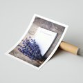 Plakat bez ramy 30x40 - Lawendowa Magia - lawenda, fiolet