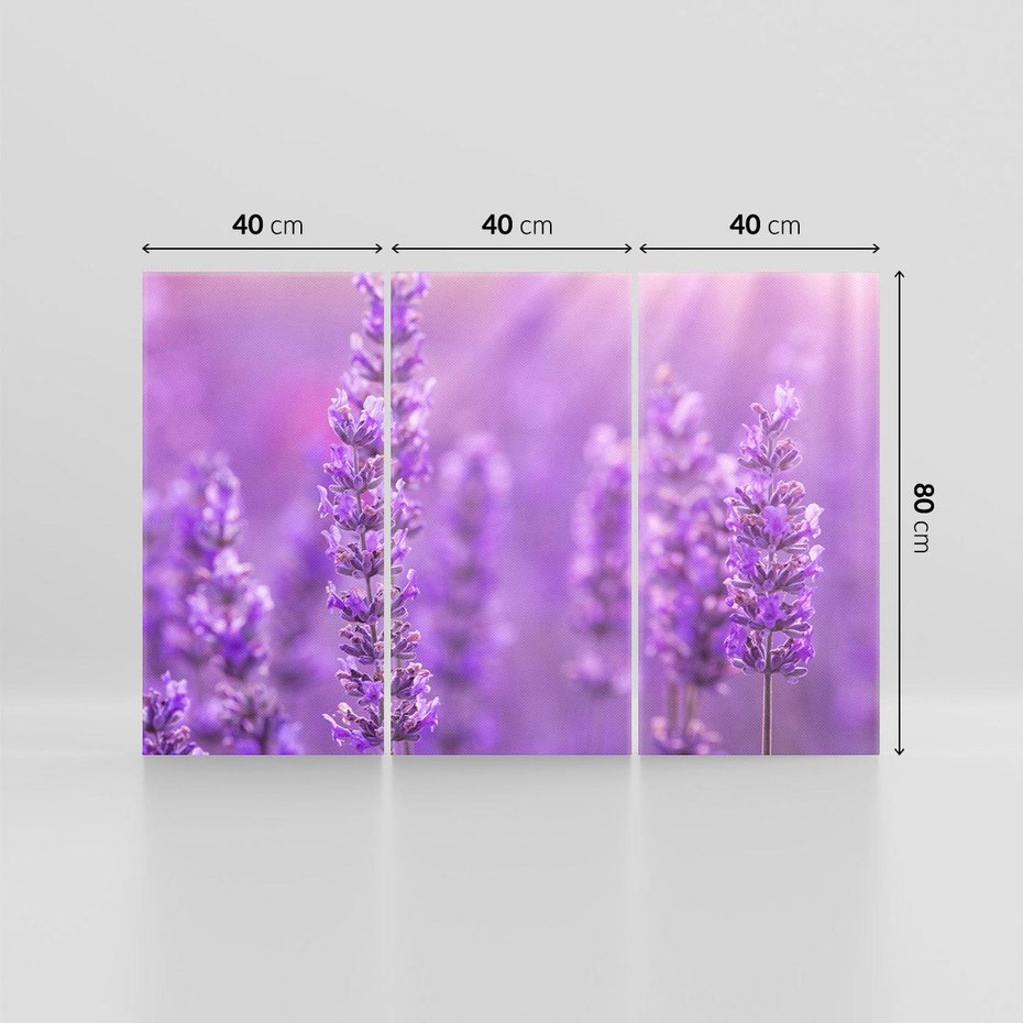 Obraz na płótnie 120x80 - Fioletowa harmonia lawendy - lawenda, fiolet