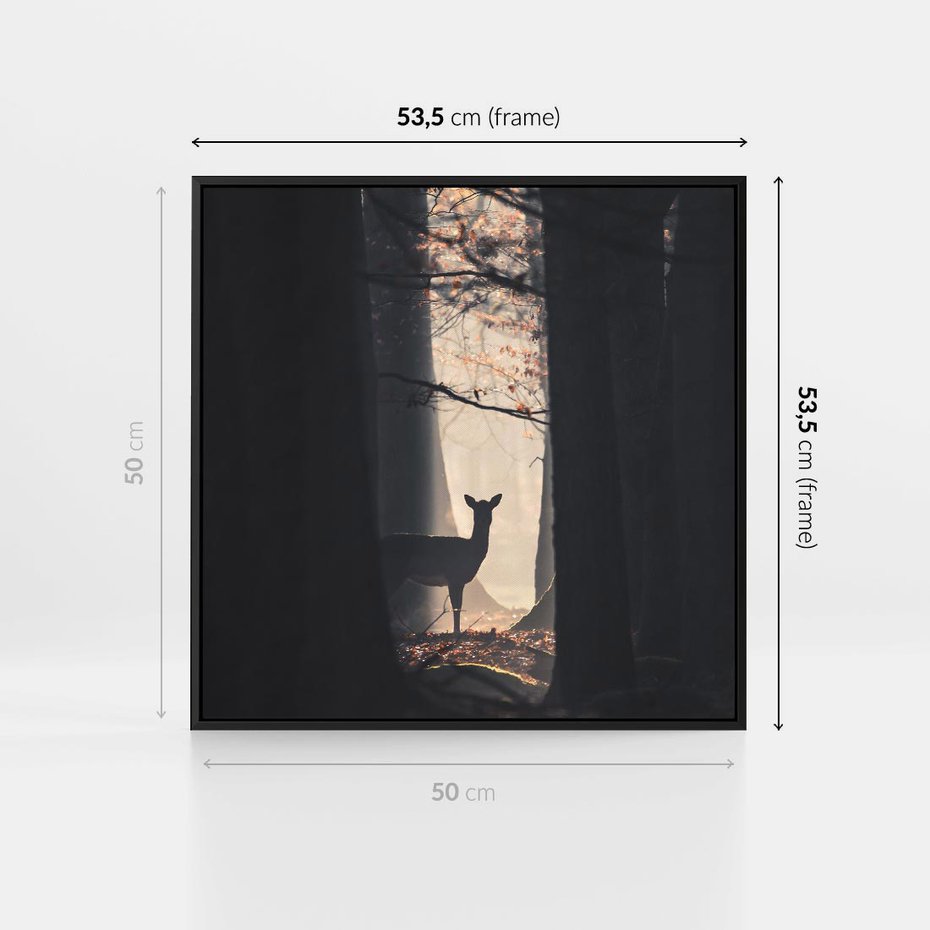 Obraz w ramie 50x50 - Sarnie Skoki - zdjęcie, klimatyczny las - rama czarna