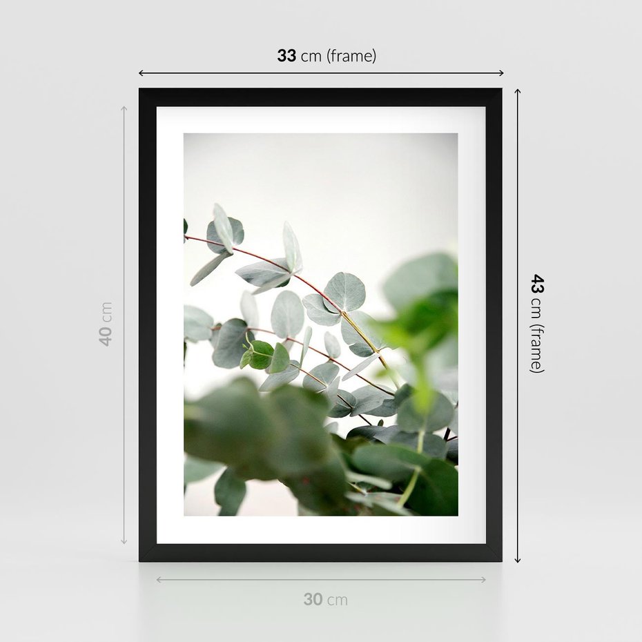 Plakat w ramie 30x40 - Zielony Świat Eukaliptusa - eukaliptus, fotografia - rama czarna
