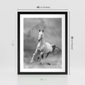 Plakat w ramie 40x50 - Elegancja w Czarno-Białym - koń, biało - rama czarna